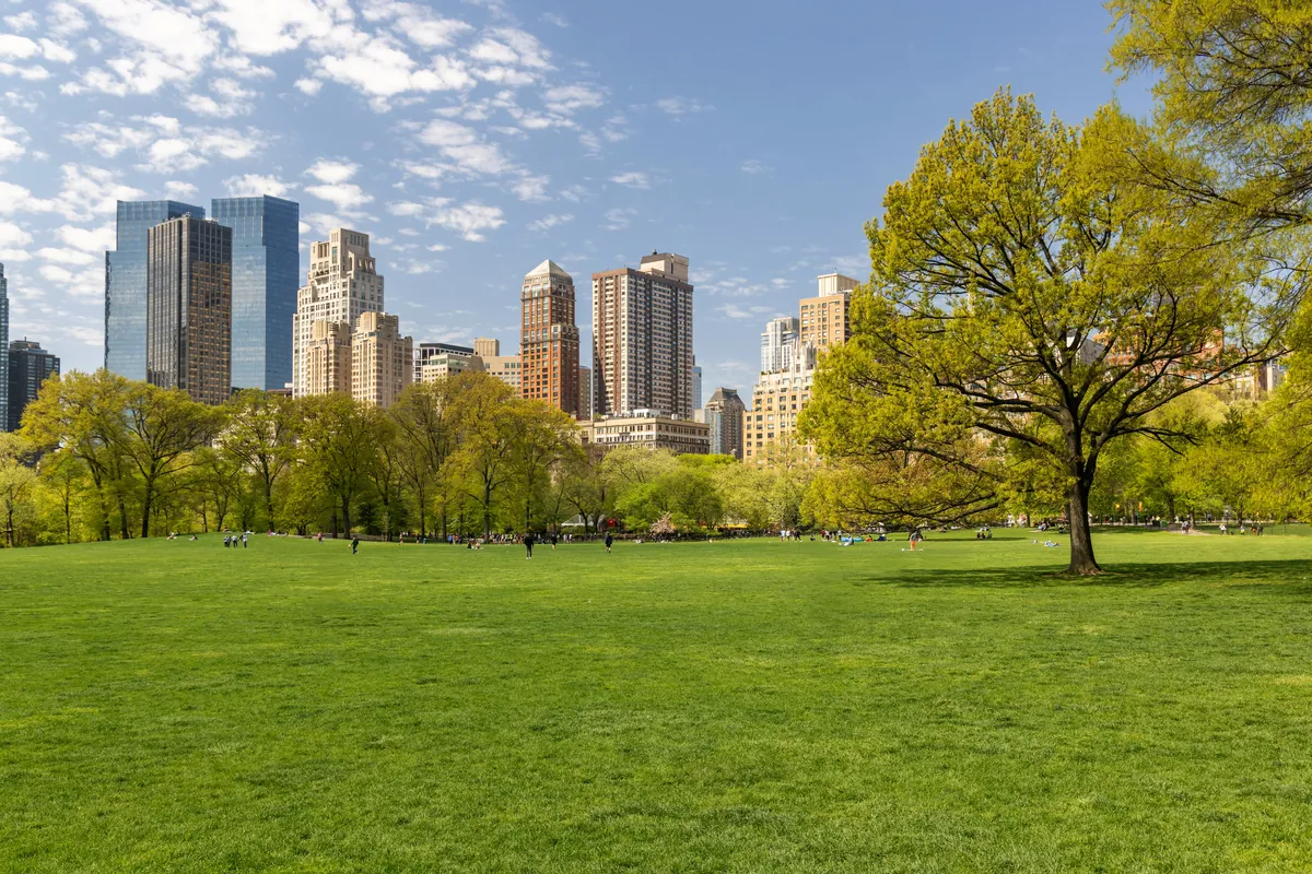Green Central Park lawn and trees with the Manhattan skyline behind